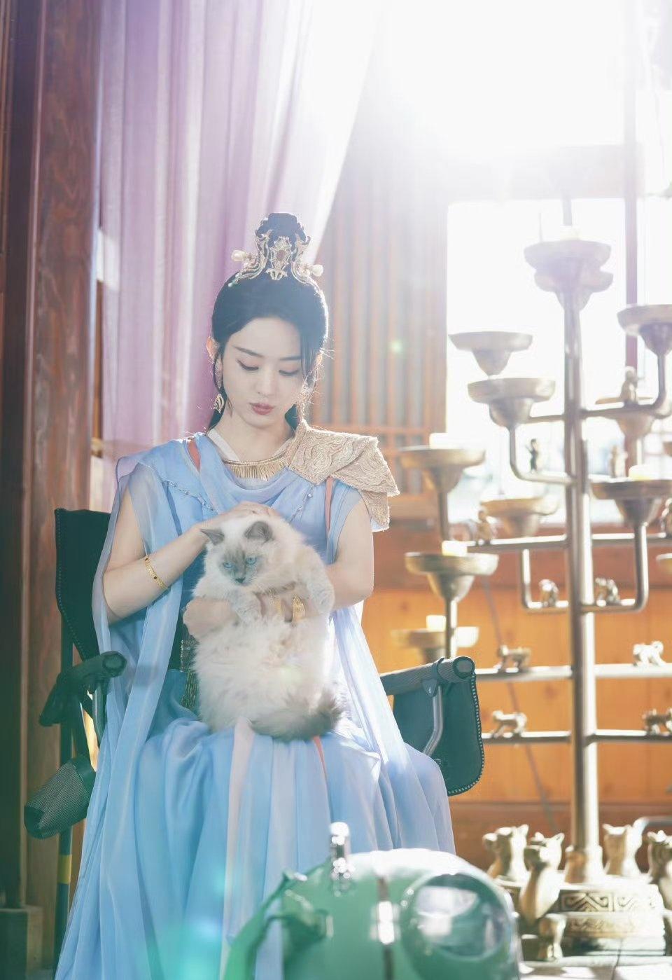 zly赵丽颖林更新楚乔传百指 zly赵丽颖沈璃 

“多谢你如此耀眼 做我平淡岁