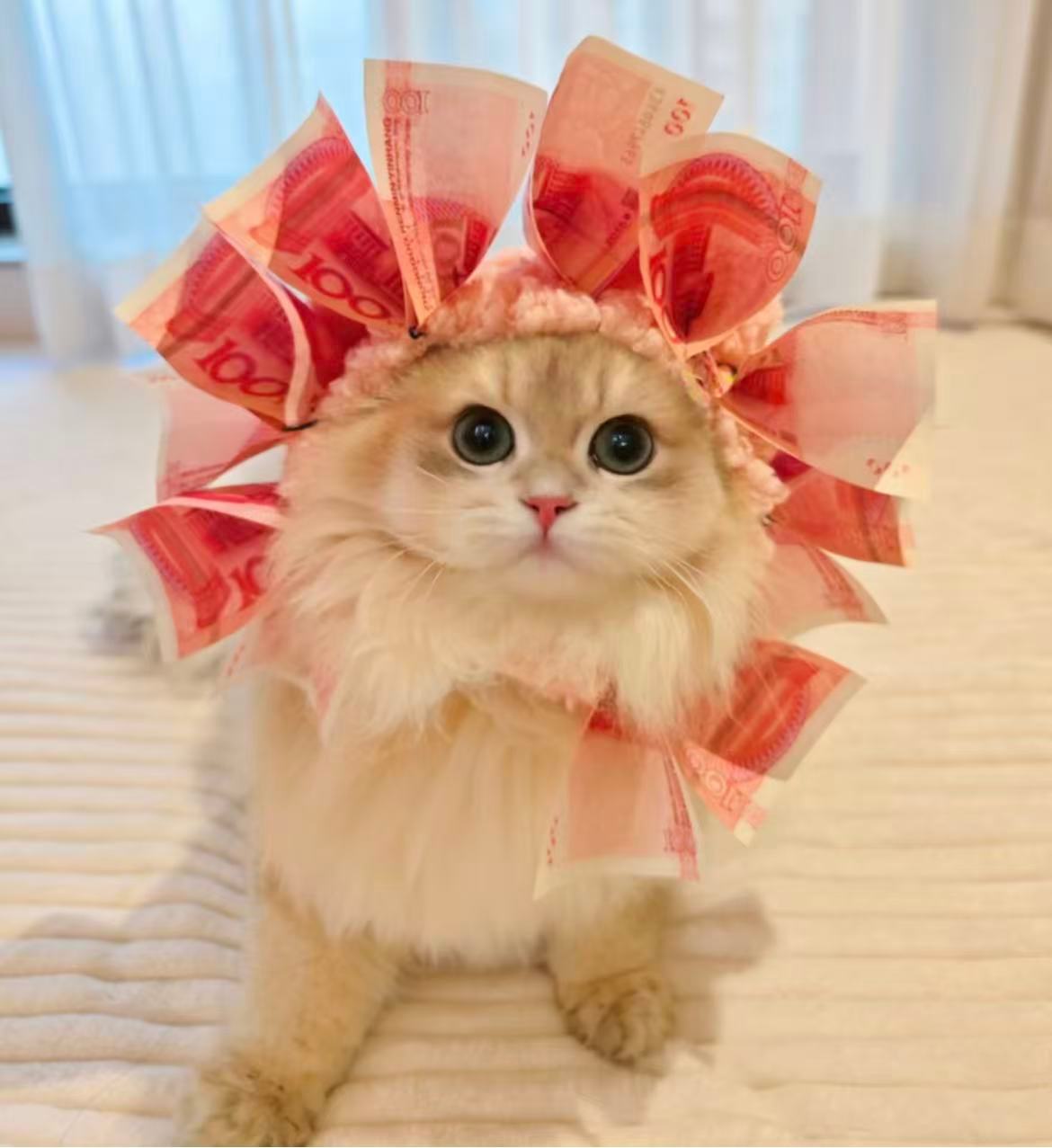 早！(这句话里虽然只有短短一个字却透露出一丝高冷与漫不经心的从容与本人那放荡不羁