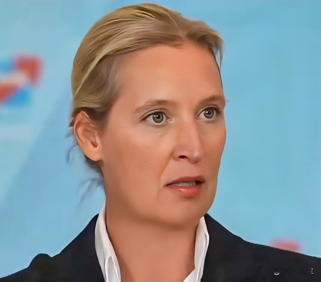 德国选择党领袖爱丽丝·魏德尔主张废除欧盟，她批评欧盟是未经选举产生的官僚独裁机构