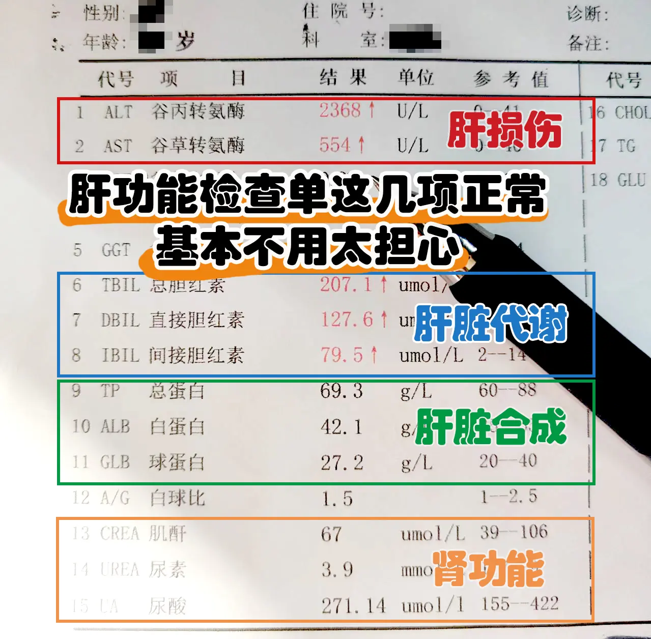 肝功能检查单这几项正常，基本不用太担心。   这是一位乙肝患者的肝功能...