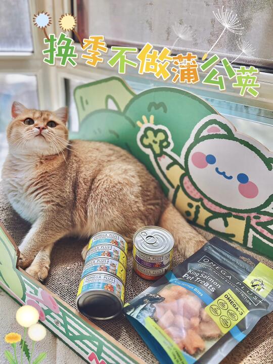 换季不做蒲公英