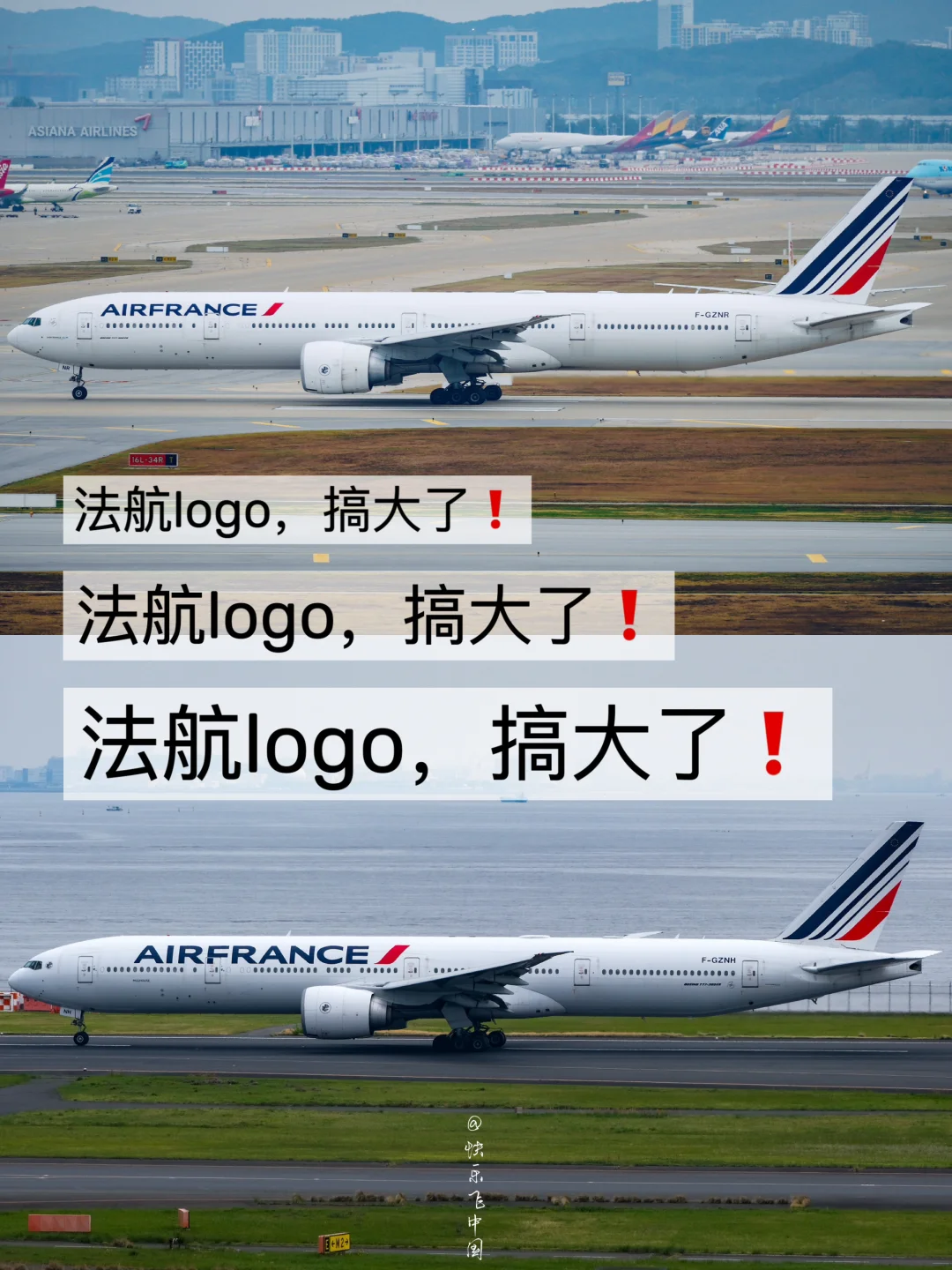 法航logo，搞大了❗️