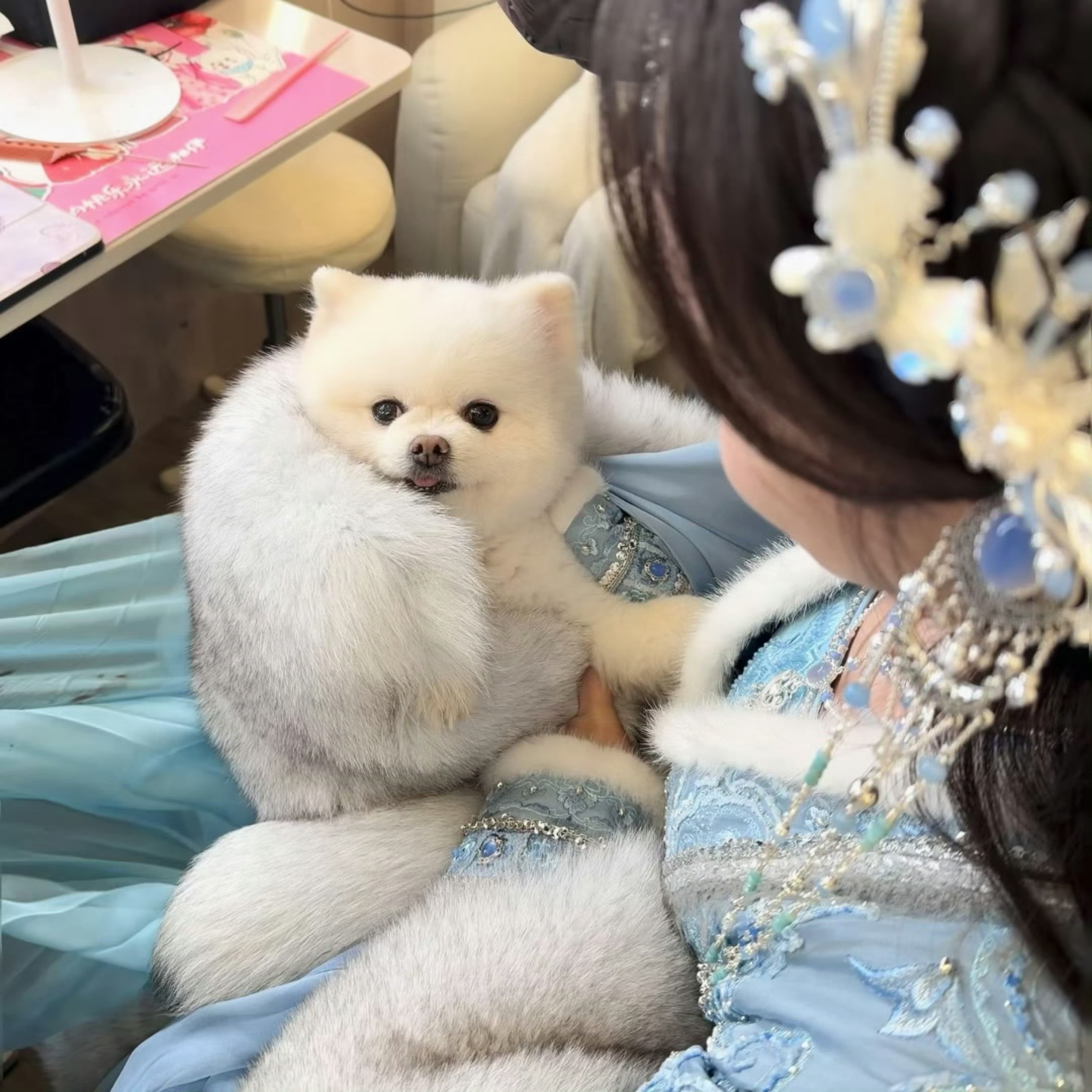 孟子义wink和巧克力wink力少和美孟是两个可爱宝宝呀 