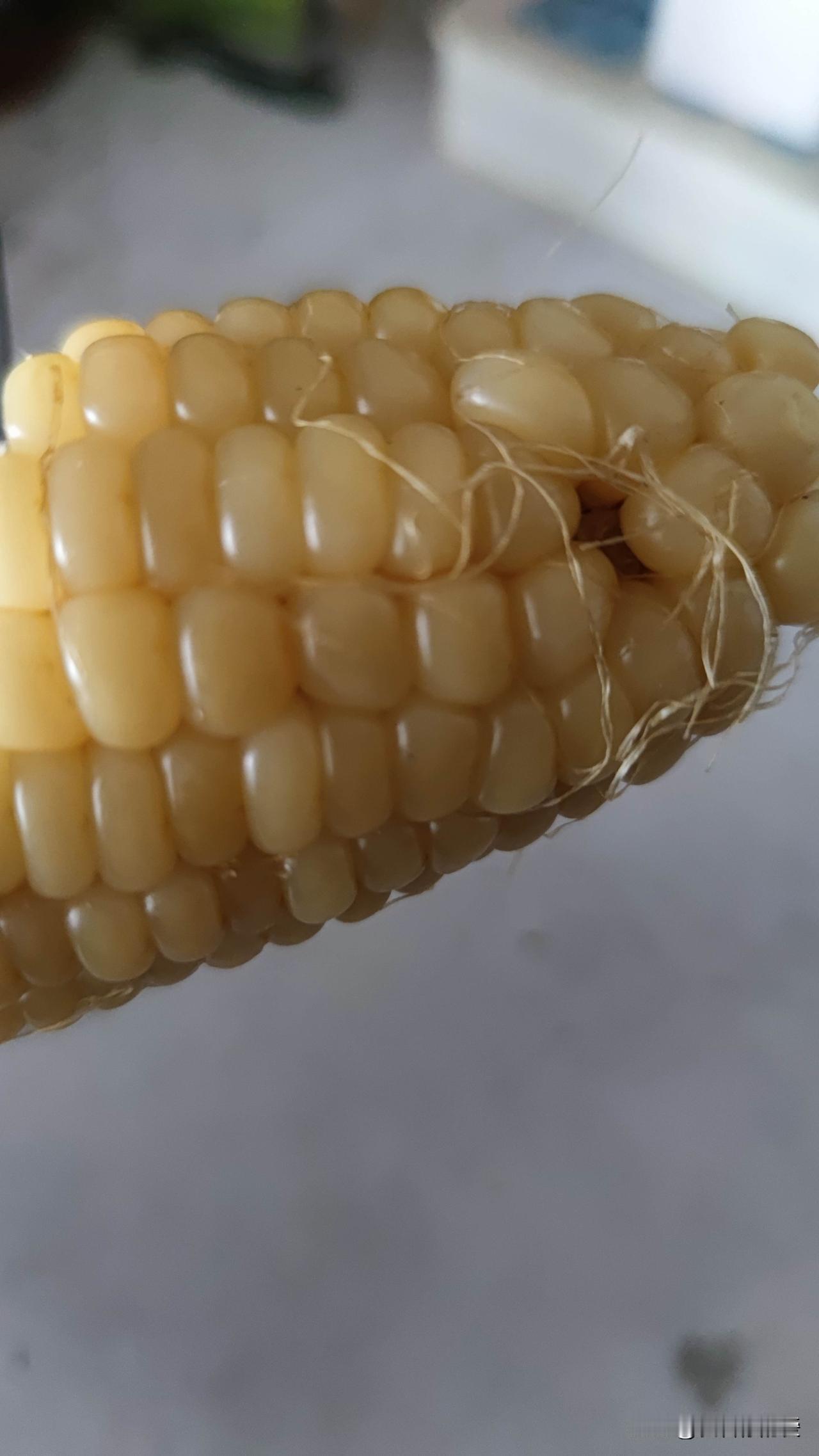 清晨享用玉米益处颇多。玉米营养丰沛，富含蛋白质、膳食纤维、维生素以及多种矿物质，