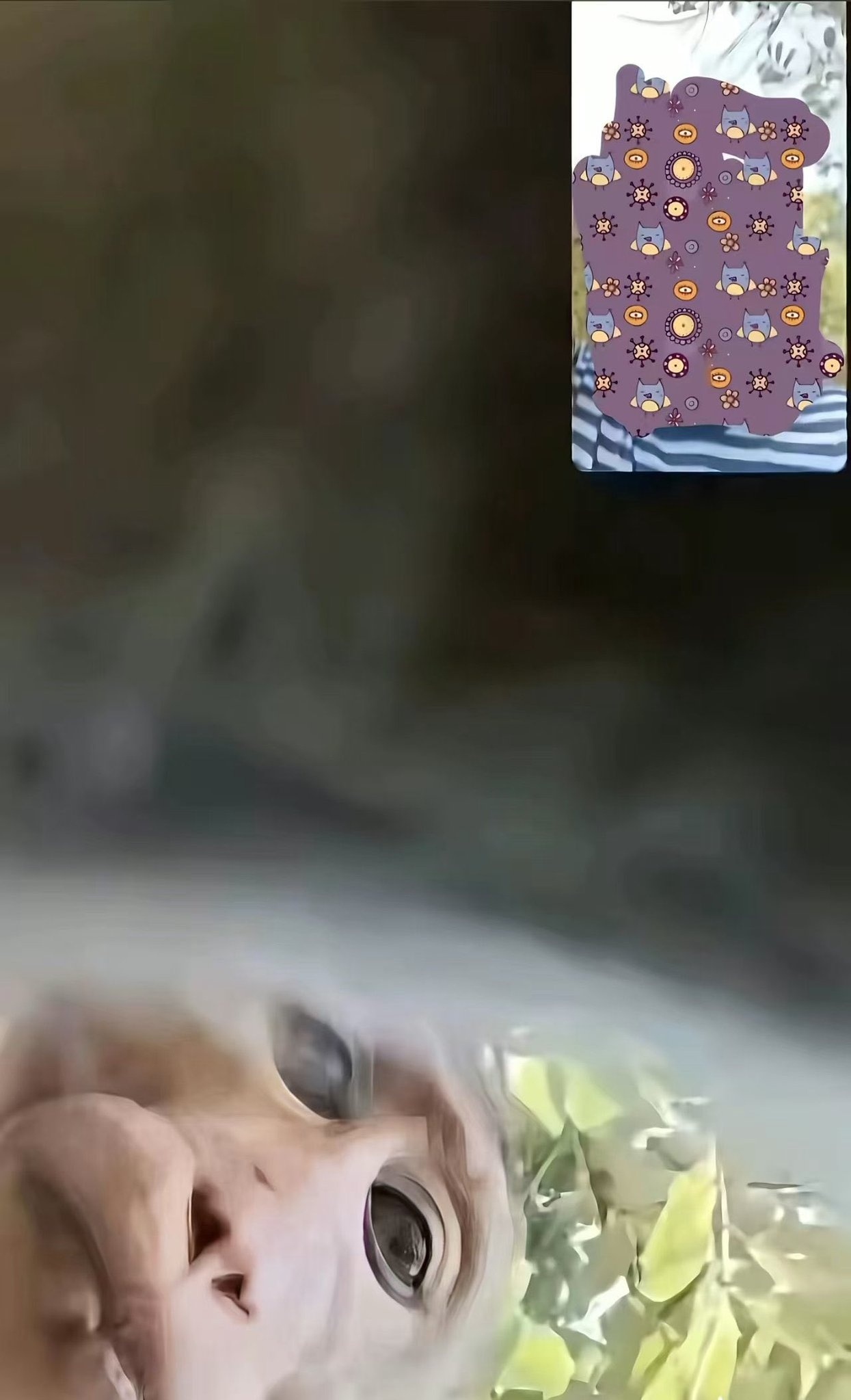 行吧，好歹是联系上了……