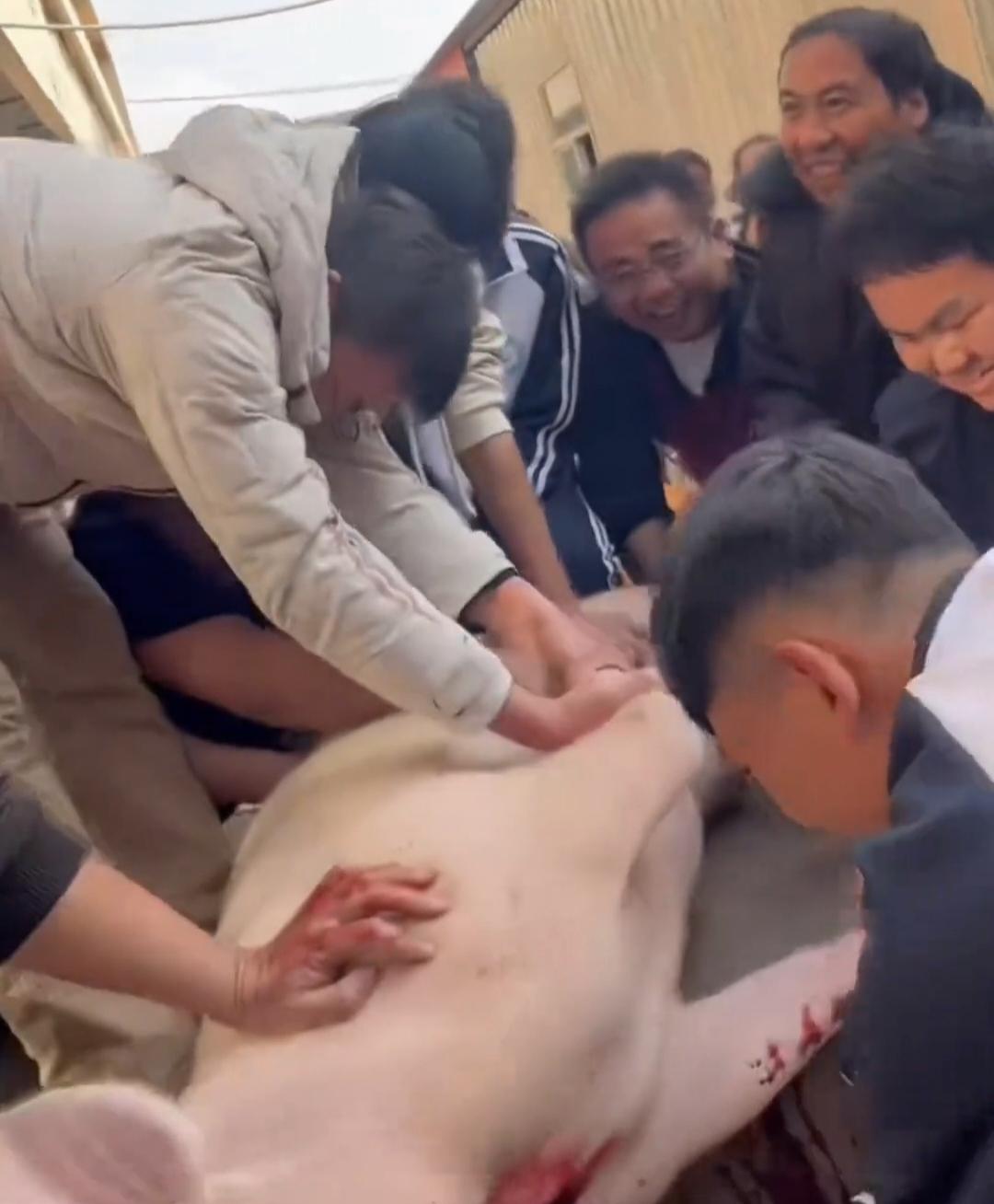 凑钱，杀猪，炖肉，云南某职校的校长真把学生的话当事儿办了。

学生说想杀猪，校长