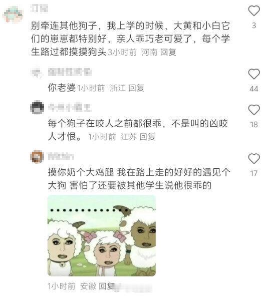 遇到流浪狗，也不谈“受害者有罪论”了… 