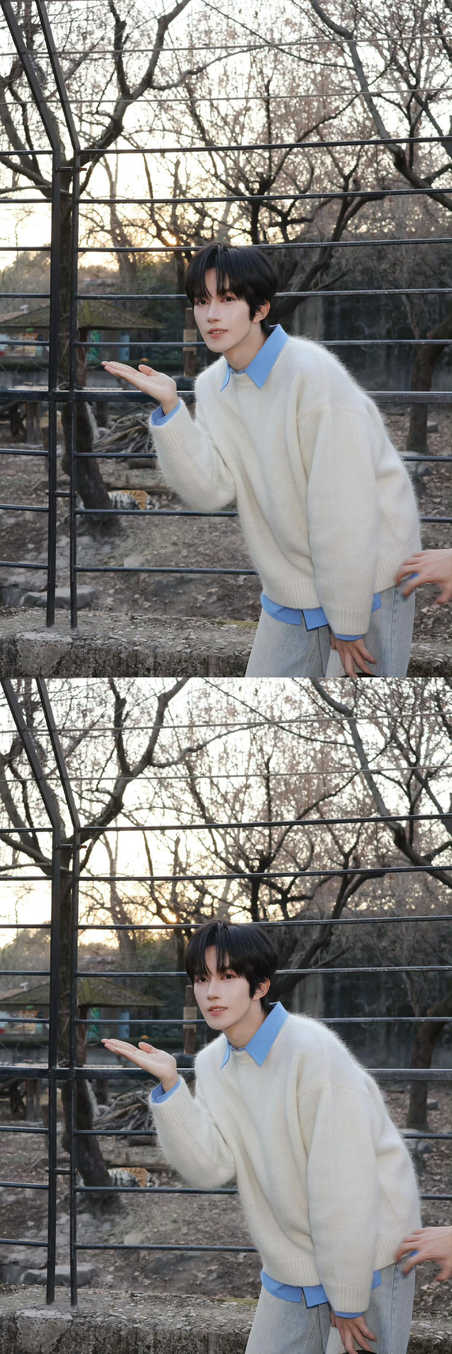 黄星 戒指 黄星今日份新鲜营业，好修长的手啊，好萌好可爱的星星