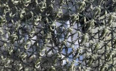 乌克兰无人机横行的好日子要到头了？谁也没料到，终结它们的不是更先进的防空导弹，而