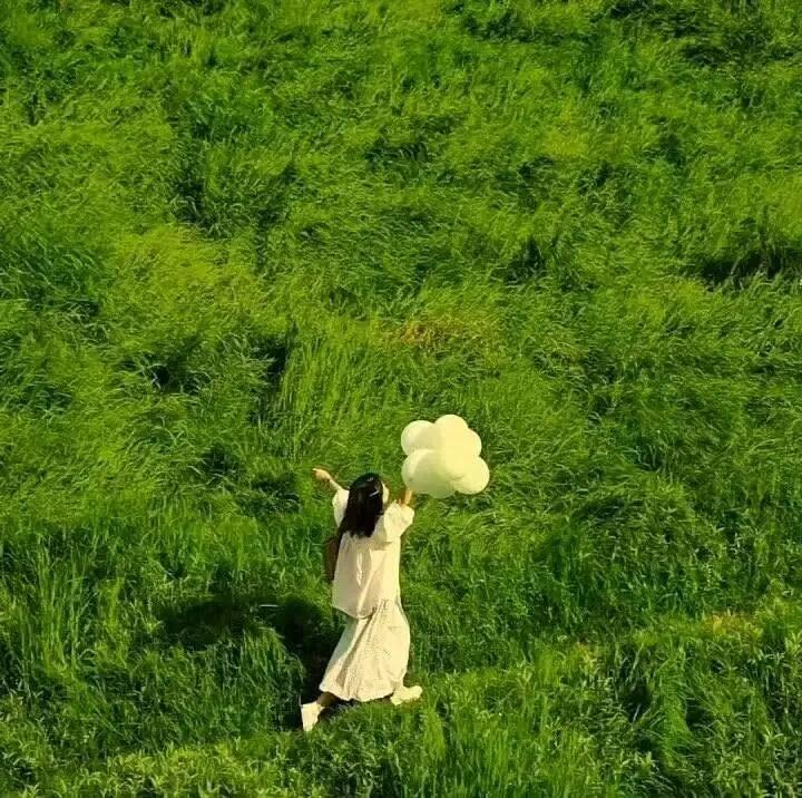 绿色系头像 ​​​