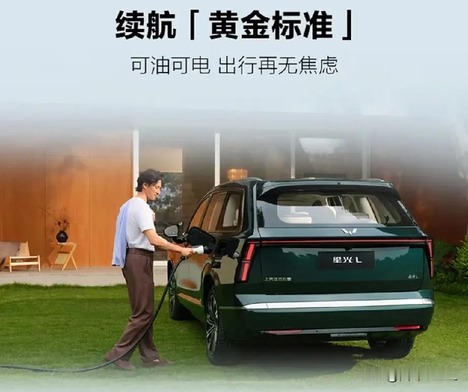 五菱星光L，定位为中大型插电混动SUV，该车于2026年4月北京车展首发并开启盲
