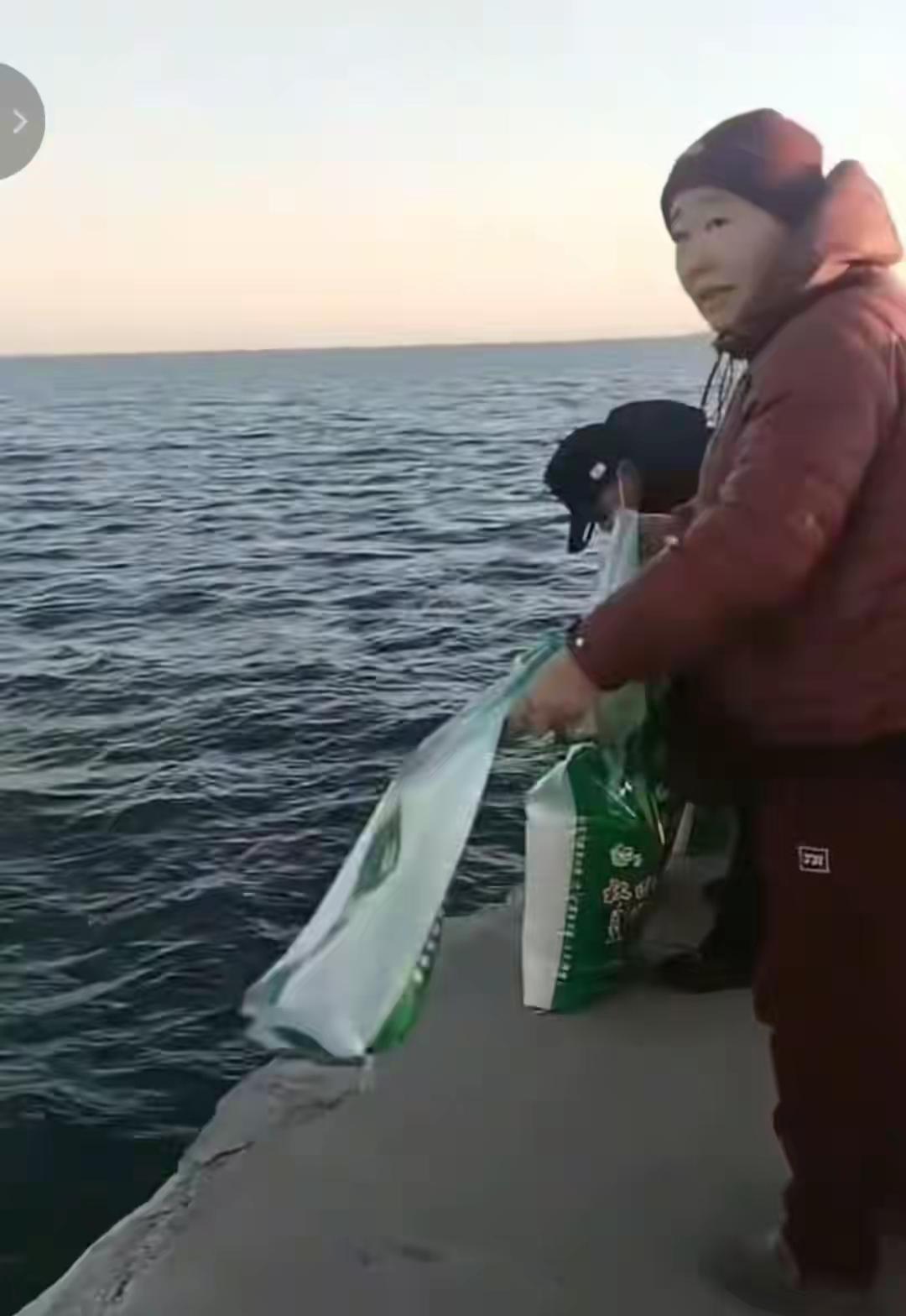 辽宁多人海边"放生大米"！一袋袋往海里倒，原因曝光，渔业局回应

辽宁多人海边“