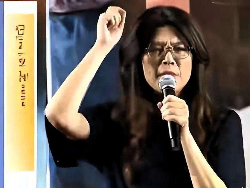 国民党军购乱局突然变局！郑丽文重磅表态定调，蓝营内讧终于踩下刹车
 
前言
 