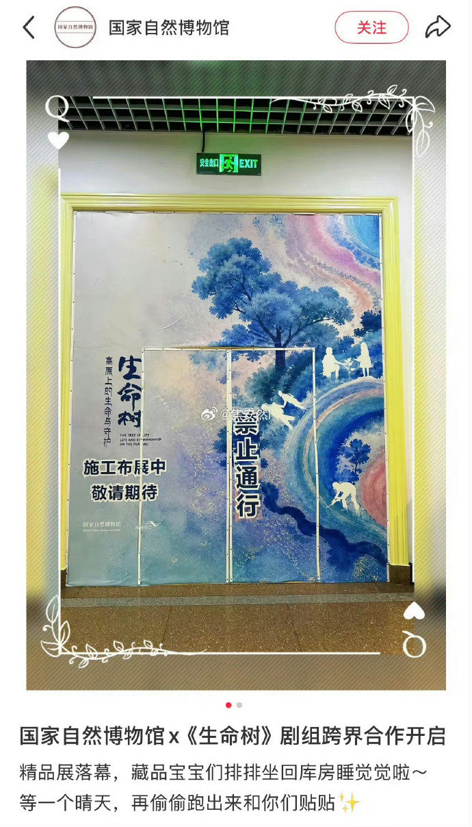 国家自然博物馆生命树跨界合作生命树国家自然博物馆主题展 国家自然博物馆亲自官宣和