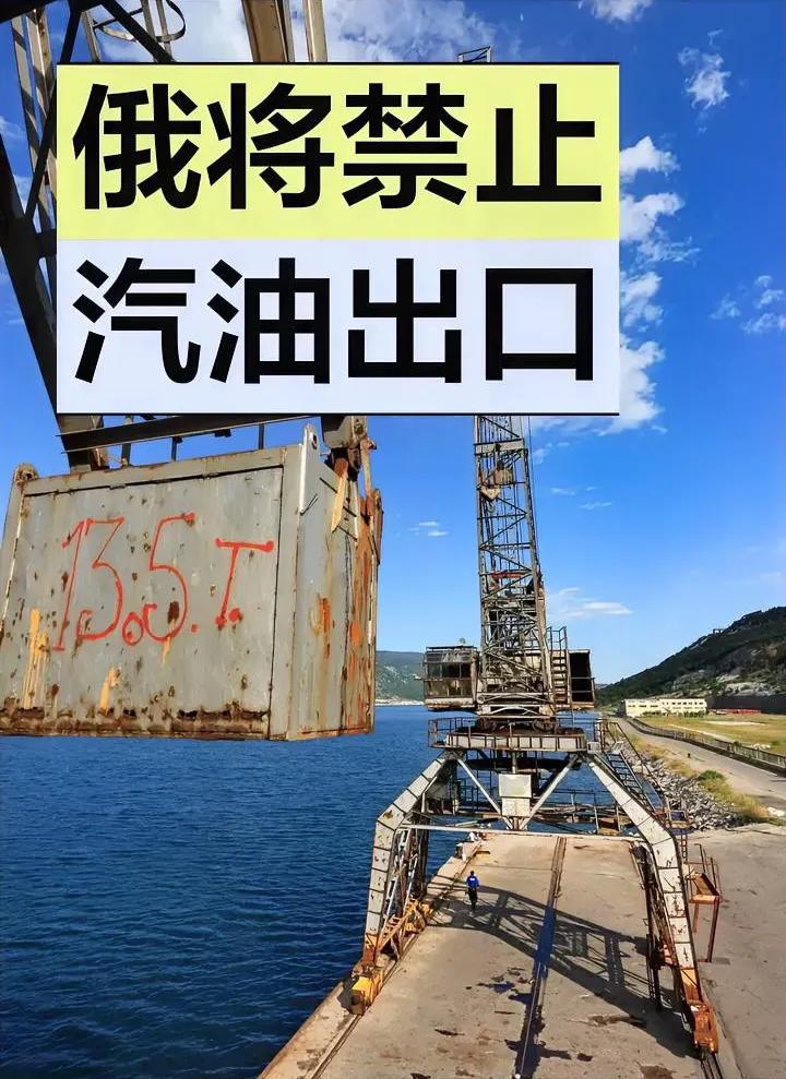 大家都以为油价暴涨，普京会趁机大赚一笔，结果他直接把出口阀门拧死——从4月1日起