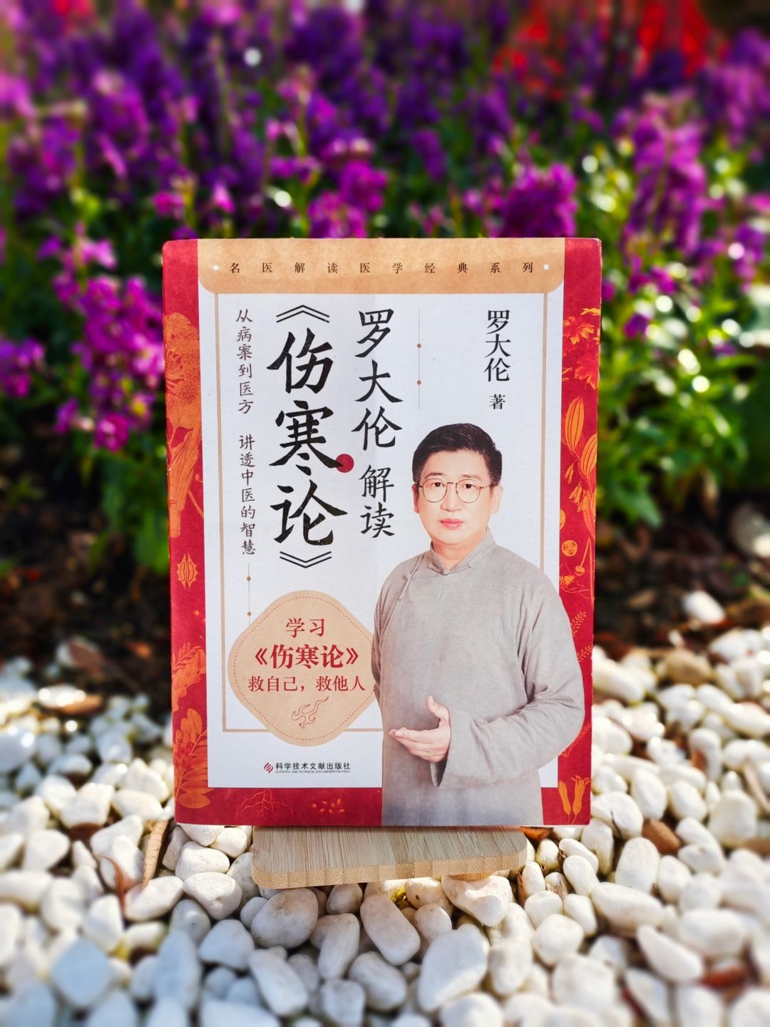 人人都能读的懂的伤寒论