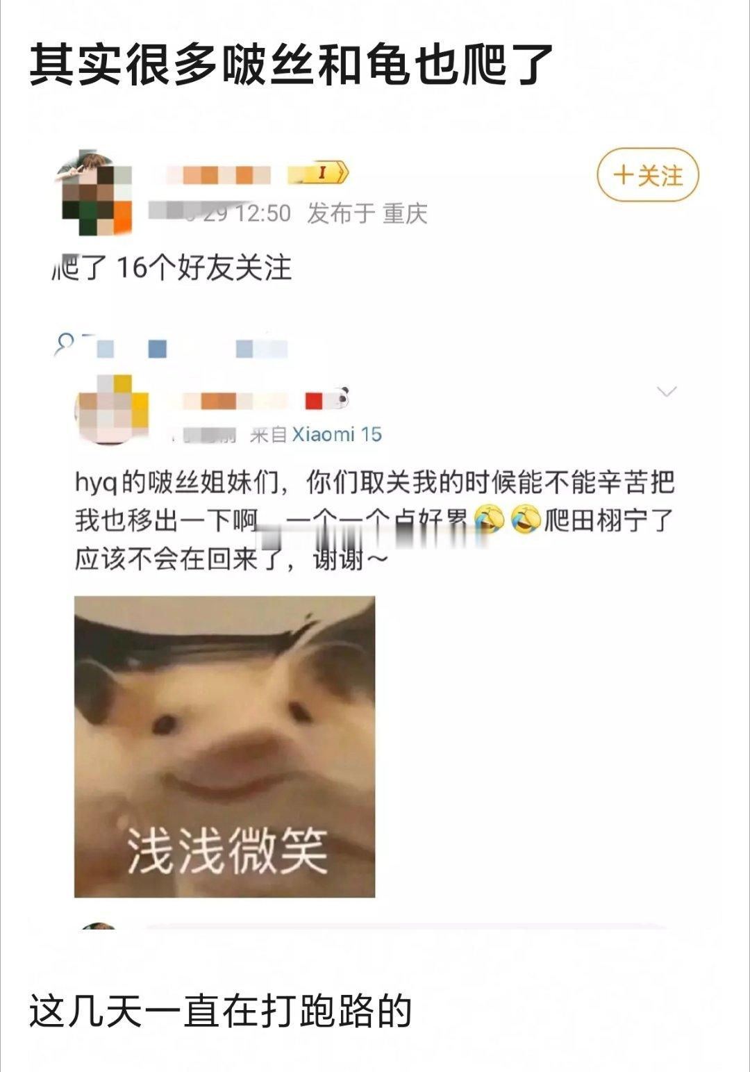 流量粉爬6.0的哪家都有，但如果不是看到了这个帖，我都快忘了内娱还有博子哥这个人