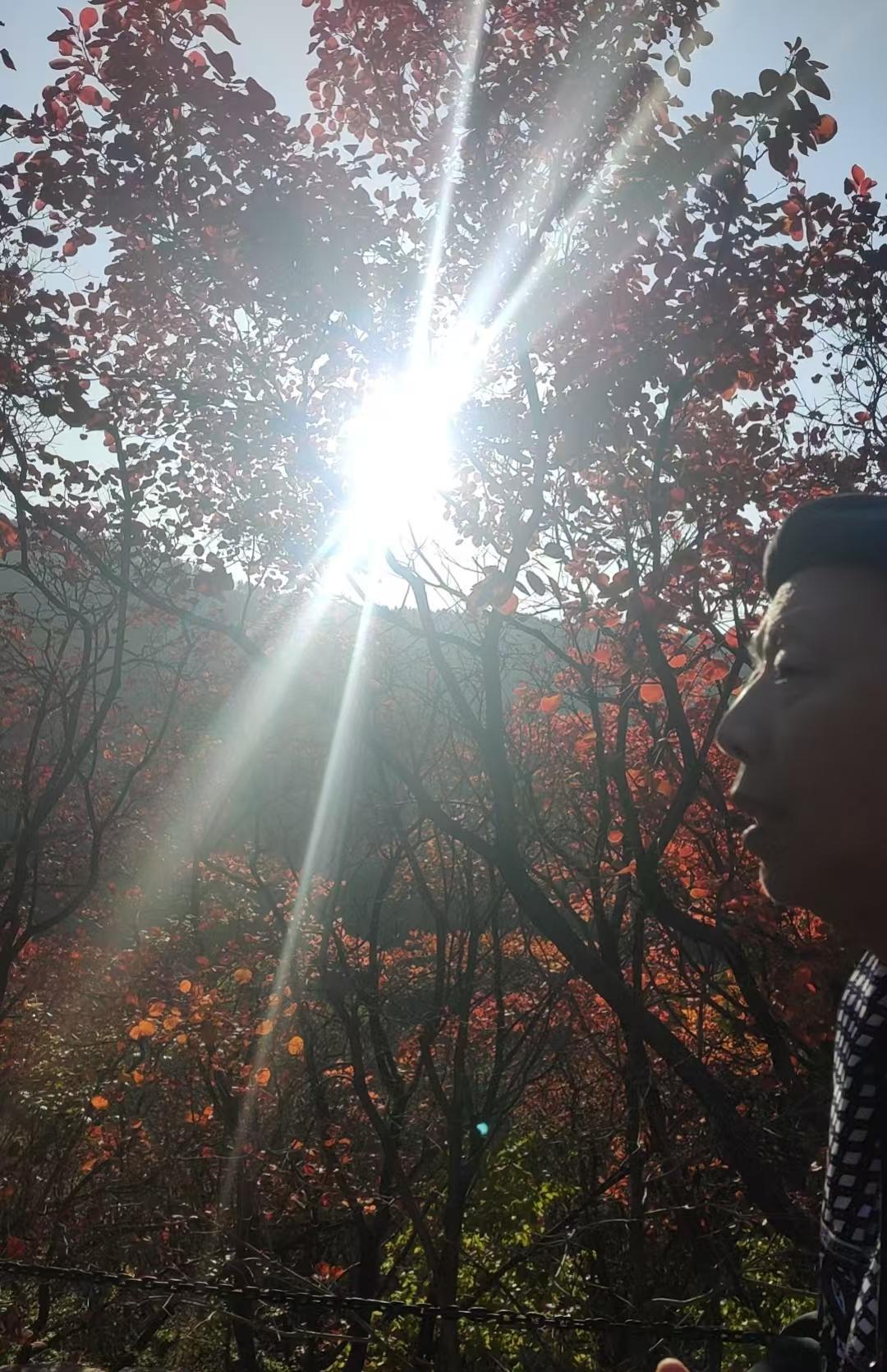 何大娃一出生就不幸，被遗弃在路边，好在单身汉老何将他收养。然而命运没有放过他，十