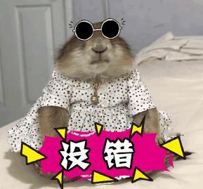 这才是AI发展真正的意义 抛开噱头与热议，AI的初心始终是为人服务。赋能产业、便