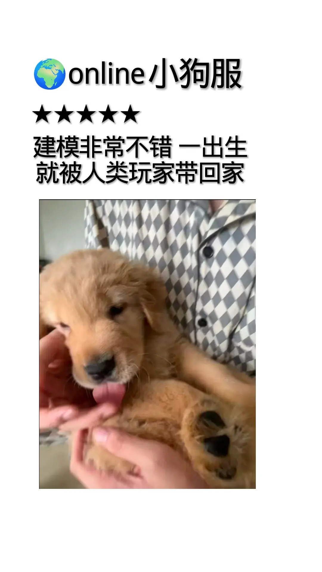 地球online小狗服