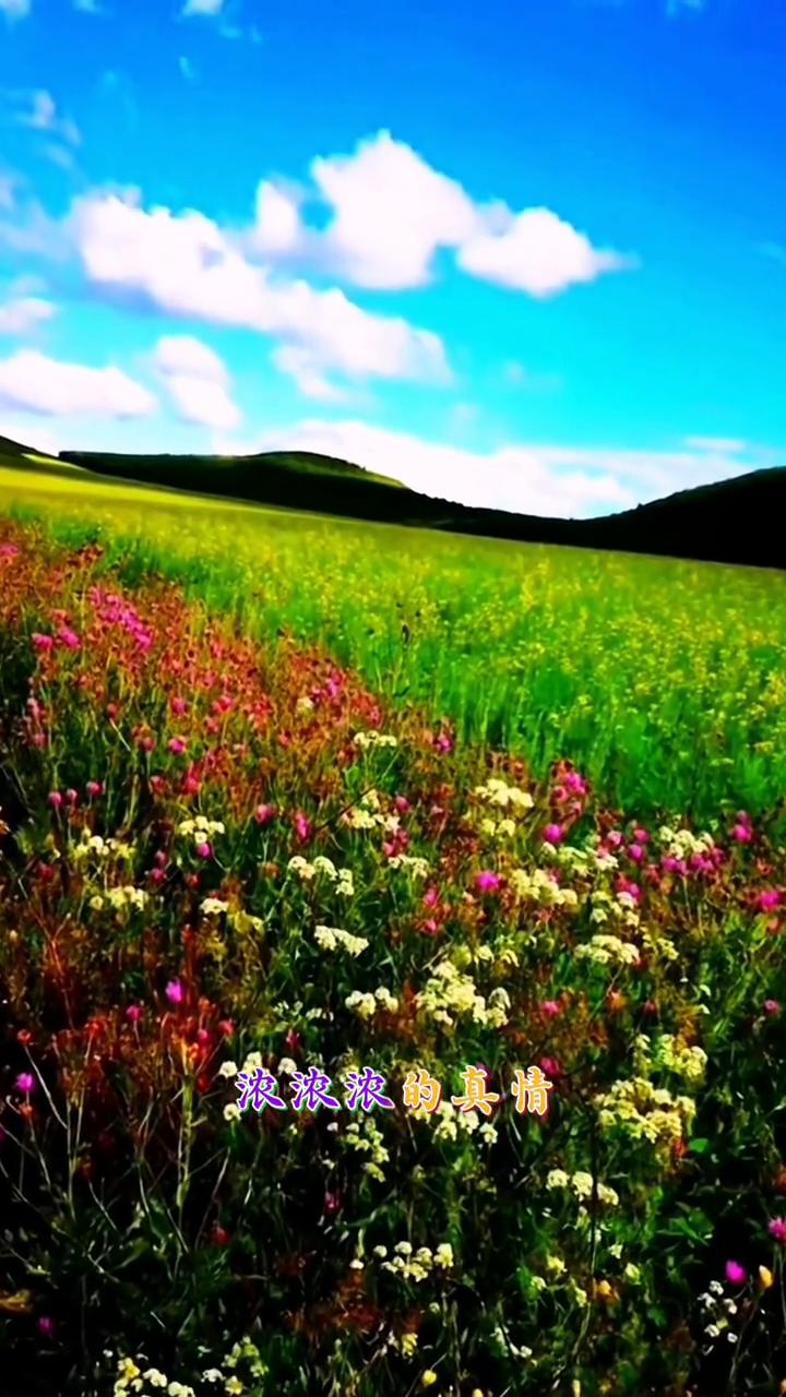 《故乡的草原》。
心中的草原总是大地一样深厚，多少次举杯都要唱起那首歌。浓浓的真