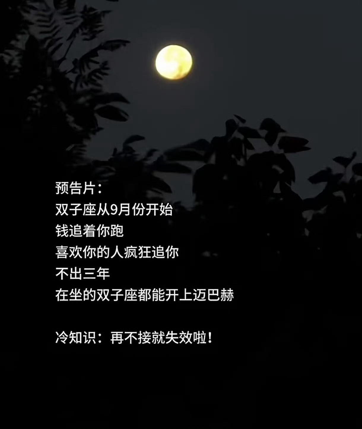 我接！！！！🙏 ​​​