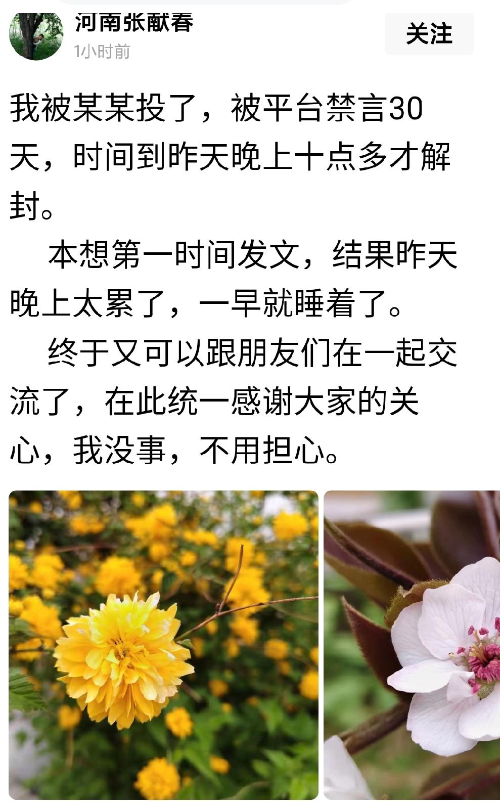 难怪好长时间没刷到张干部更新作品了，原来账号被人恶意举报，还被封禁了30天……