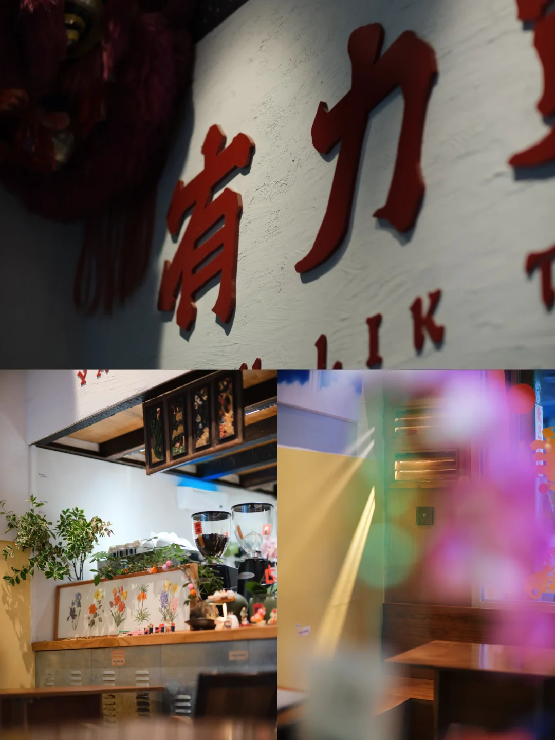荔湾午后的静处之地