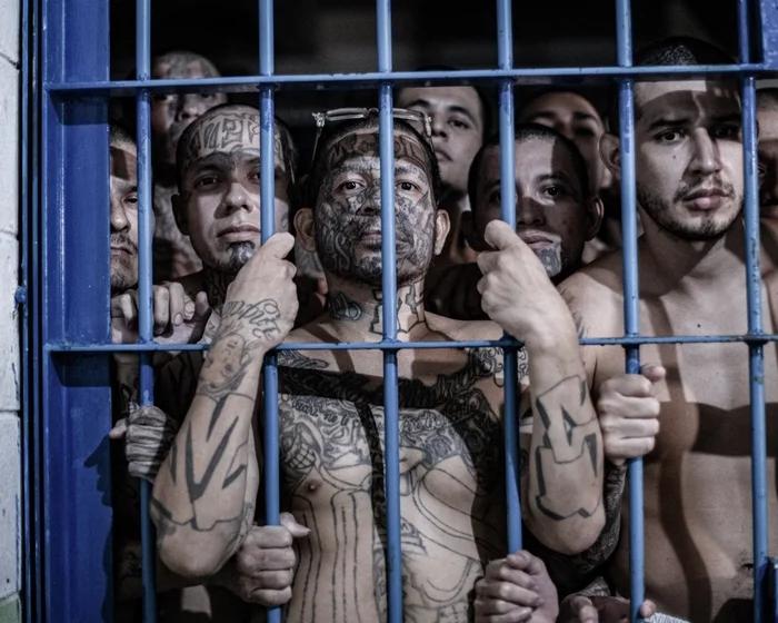 我们曝光了萨尔瓦多总统的爆炸性新闻。如今我们无法回家。