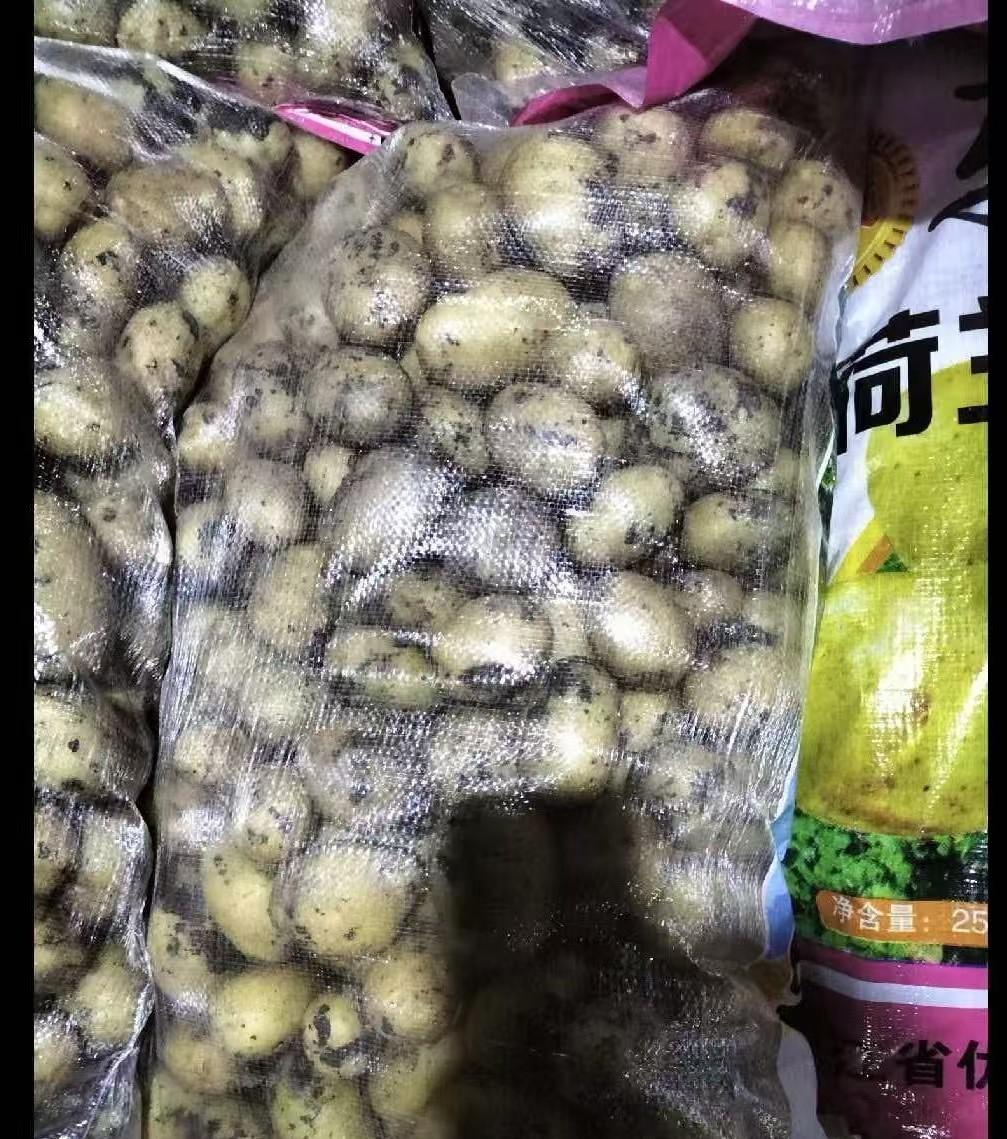 一车土豆被拦在收费站，

说是种子不能免，

可包装上没一个字写“种子”。

2