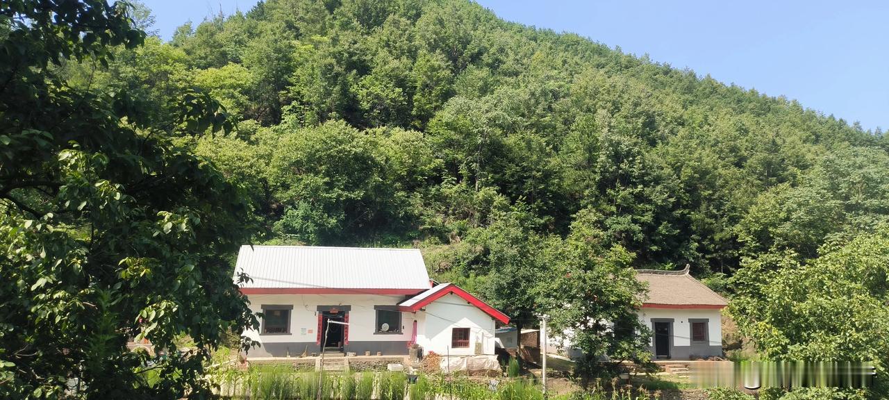 黑龙口的山，黑龙口的水，家乡的美景看不完，家乡就在秦岭山里。黑龙口豆腐干，黑龙口