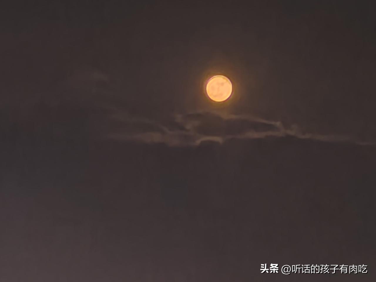31℃的高温，竟然中暑了，头晕的厉害！昨天下午公司外派临时出去了一趟，结果回来热
