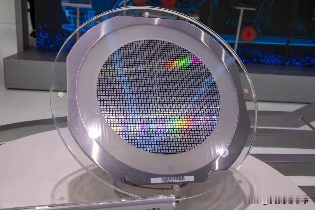 荷兰安世这回算知道什么叫踢在铁板上？
他们的思维还停留在一二百年之前呢，以为可以