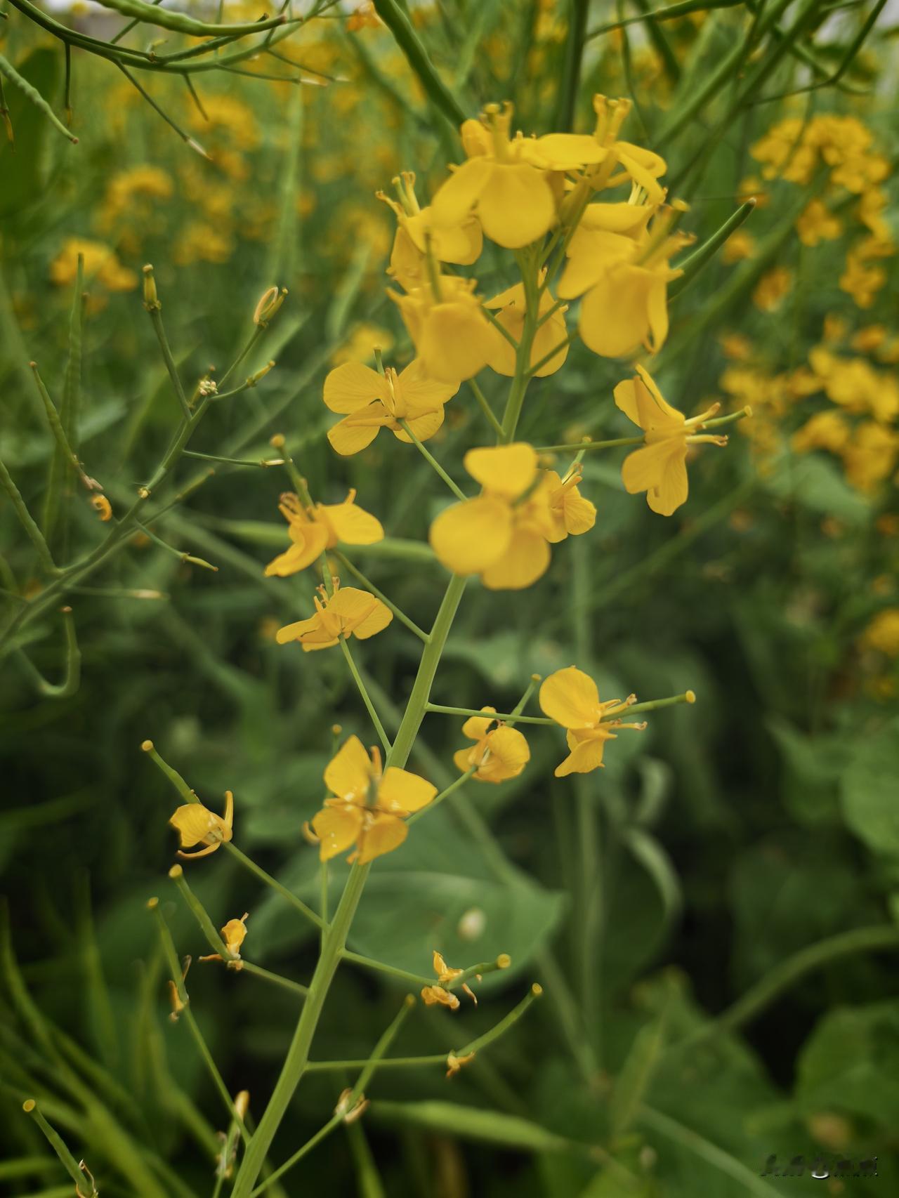 年少吃苦和年老吃苦,哪一个更苦?年轻时吃苦，叫打拼、叫历练，身体扛得住，心里有奔