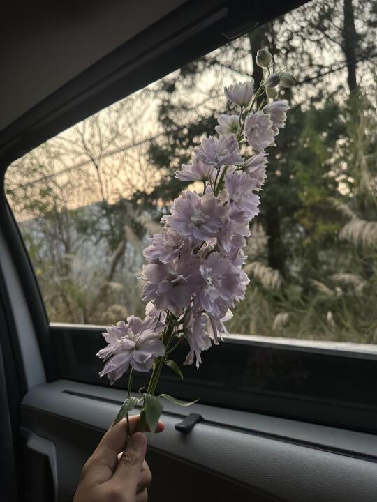 晚风与落日、群峰与鲜花，他们每天都陪我下班