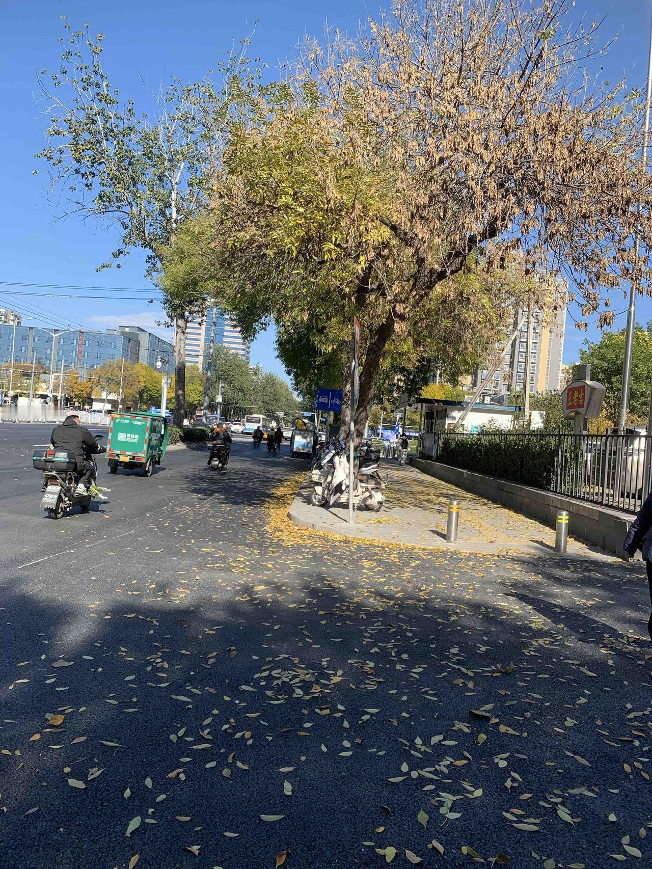 昨天毕竟已过去，明天确实要继续

昨日已成过往，无论喜忧，皆如流水般消逝于时光长