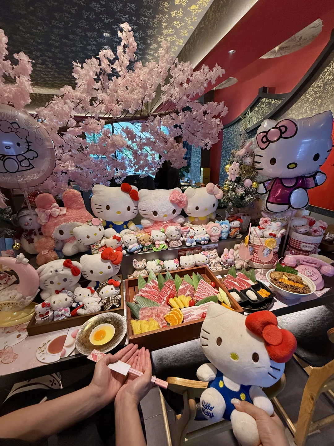 花都居然也有了！！kitty 一人食烤肉！！！！