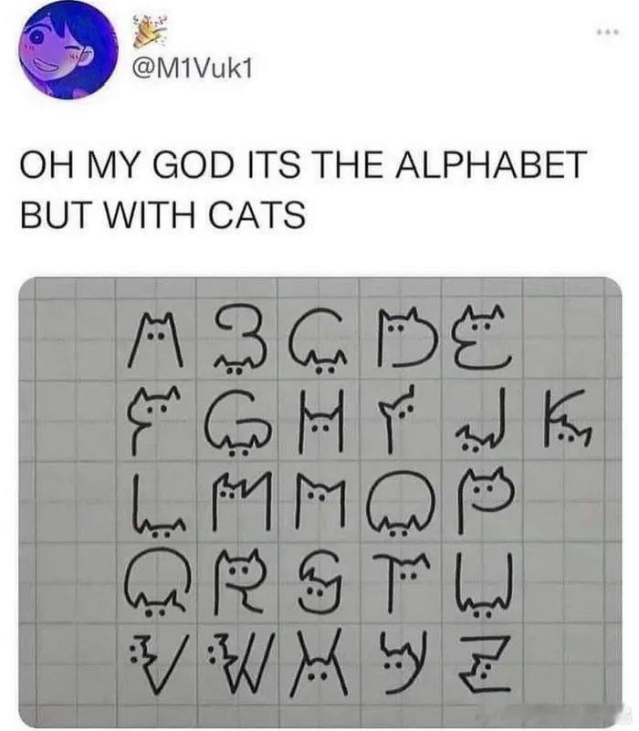 猫型字母表 ​​​