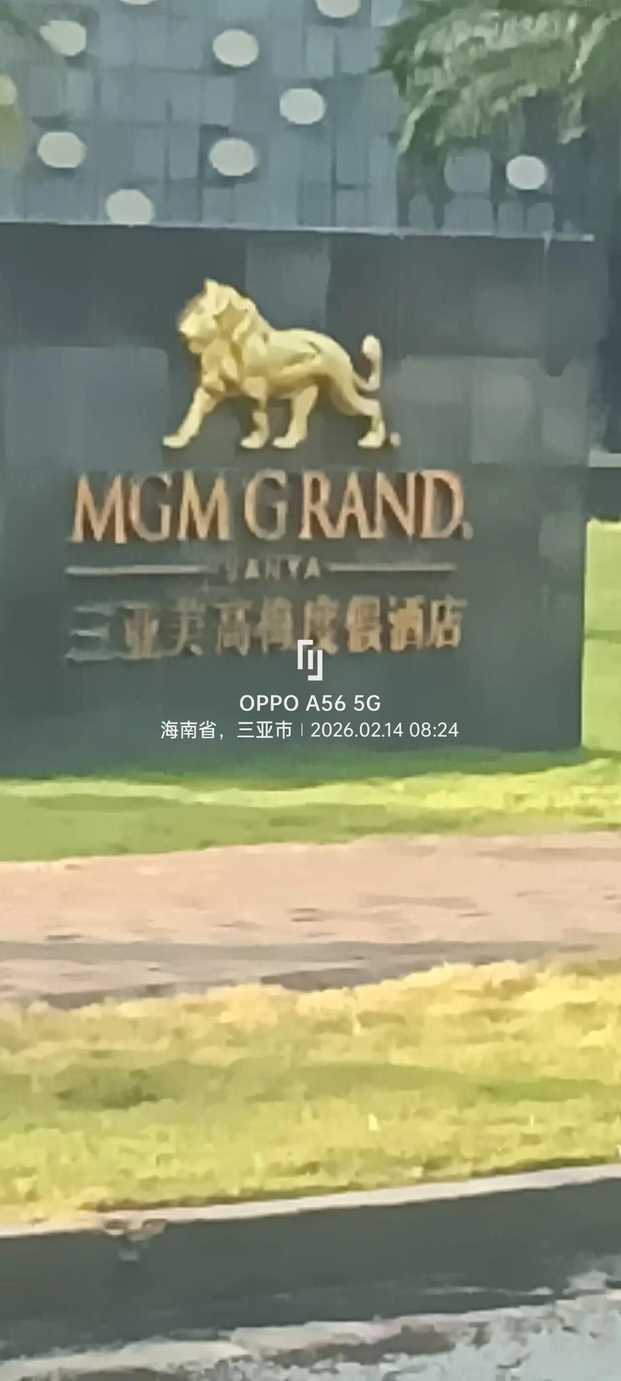 新春来抓马 我的足迹地图