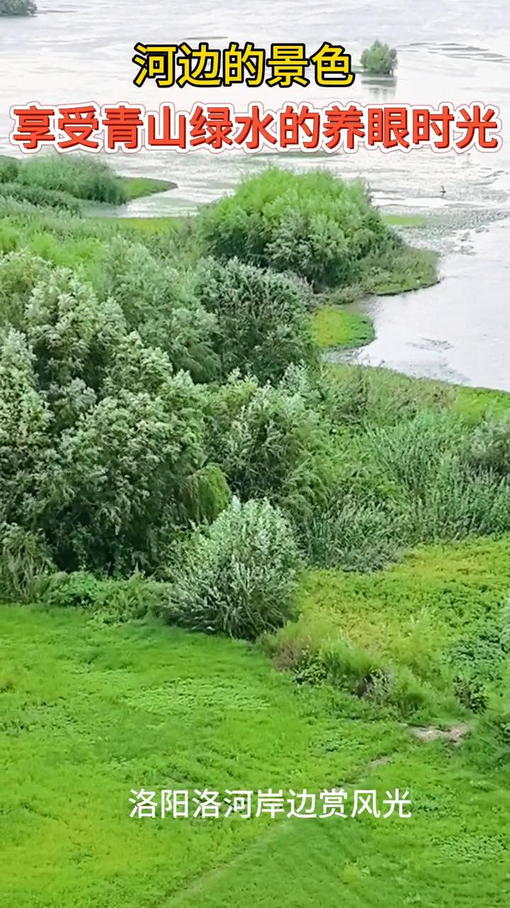 河边的景色，享受青山绿水的养眼时光。洛阳洛河岸边赏风光。