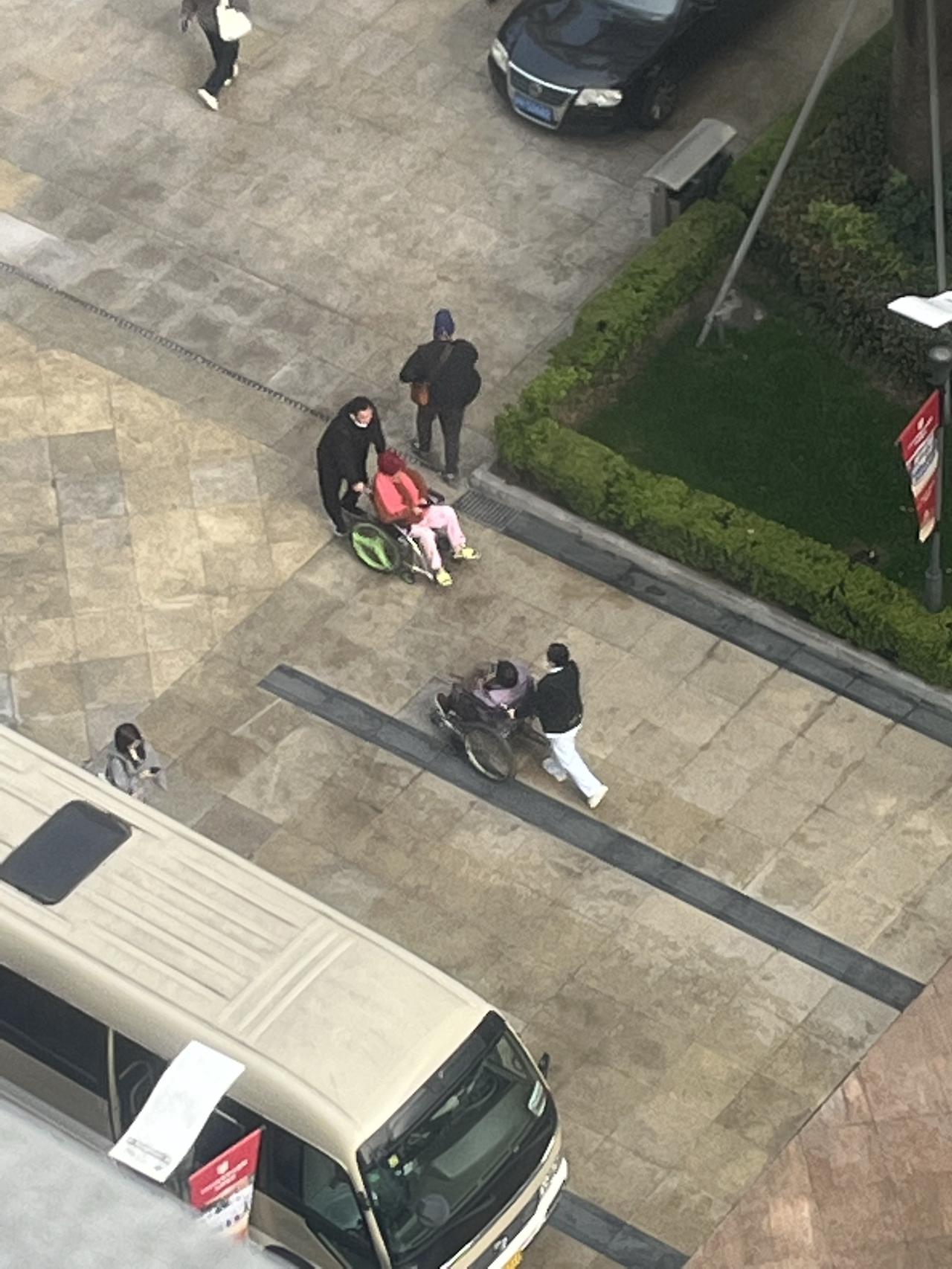 清醒/自律
在冷雨中，看见生命的自律。
清晨，从窗口望下去，世界浸润在冷雨里。