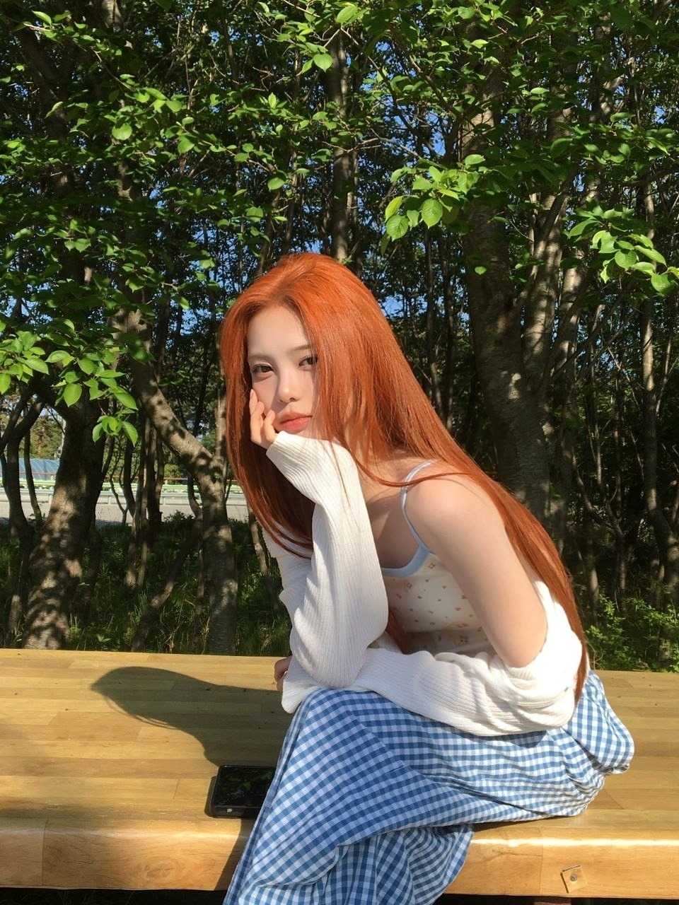 阳光和你都很美🍃 