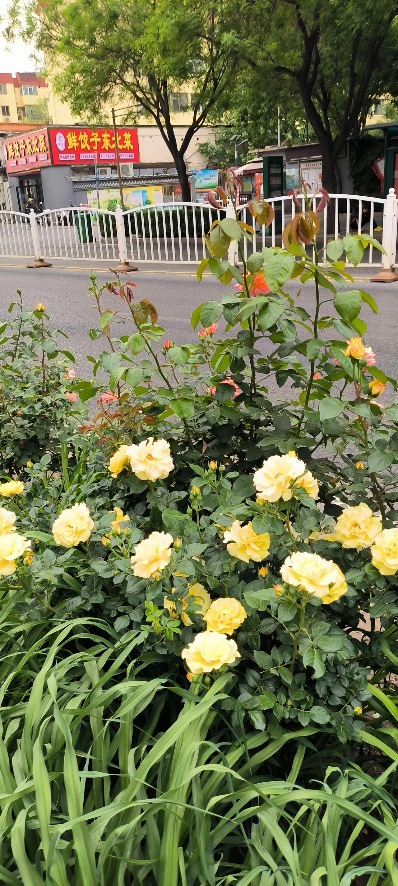 今天立夏的记忆


      今天是立夏，阴雨天。老天要留给人们深刻的记忆。