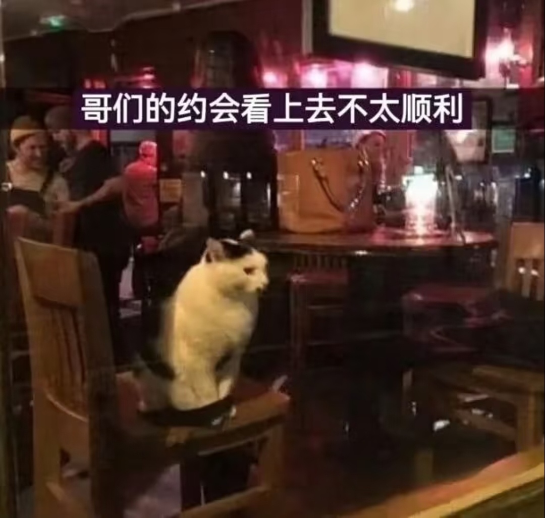一些梗图分享 ​​​