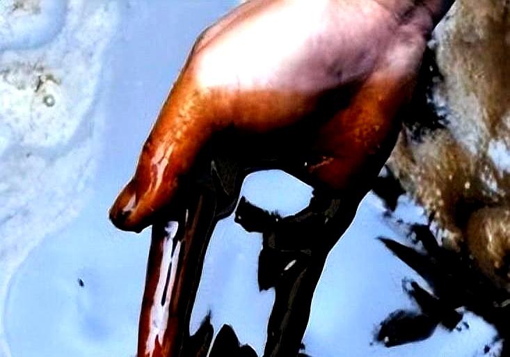 火葬场产生的“尸油”到底去了哪里？很多人不知道，在火化过程中会产生“尸油”，但这