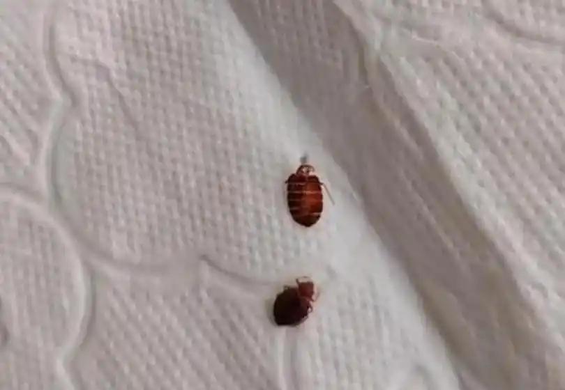 这下遭了大罪了！浙江宁波的水大伯，白天啥事儿没有，一到凌晨一两点钟，浑身就跟被无