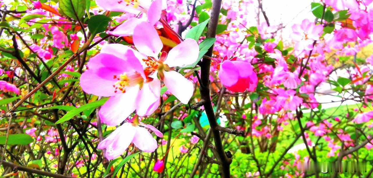 中医是属于医学还是哲学?
中医是一门兼医学、哲学、自然科学为一体的学科。