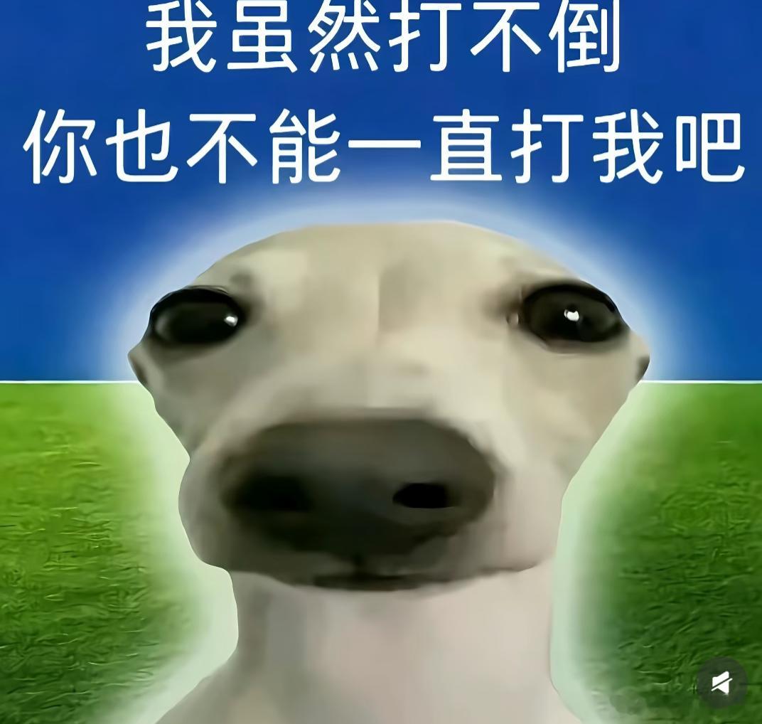 又是新的一天，美好的一天从问候开始，早上好王一博，早上好肖战，早上好我的朋友们，