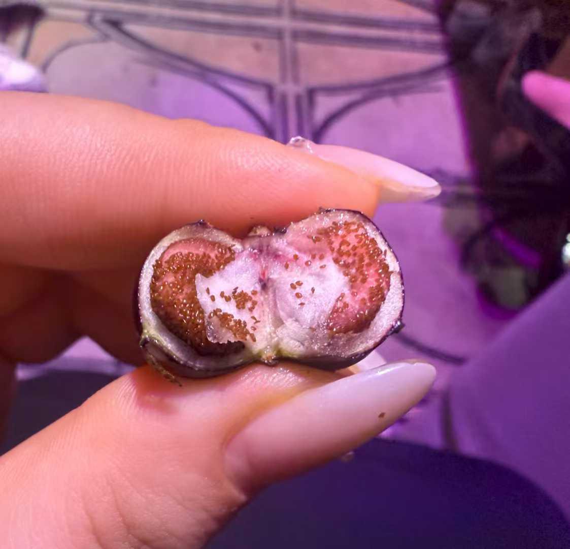 一旦接受
像虫卵的设定，
就回不去了！
[泪奔][泪奔][泪奔]
哎，真是的！