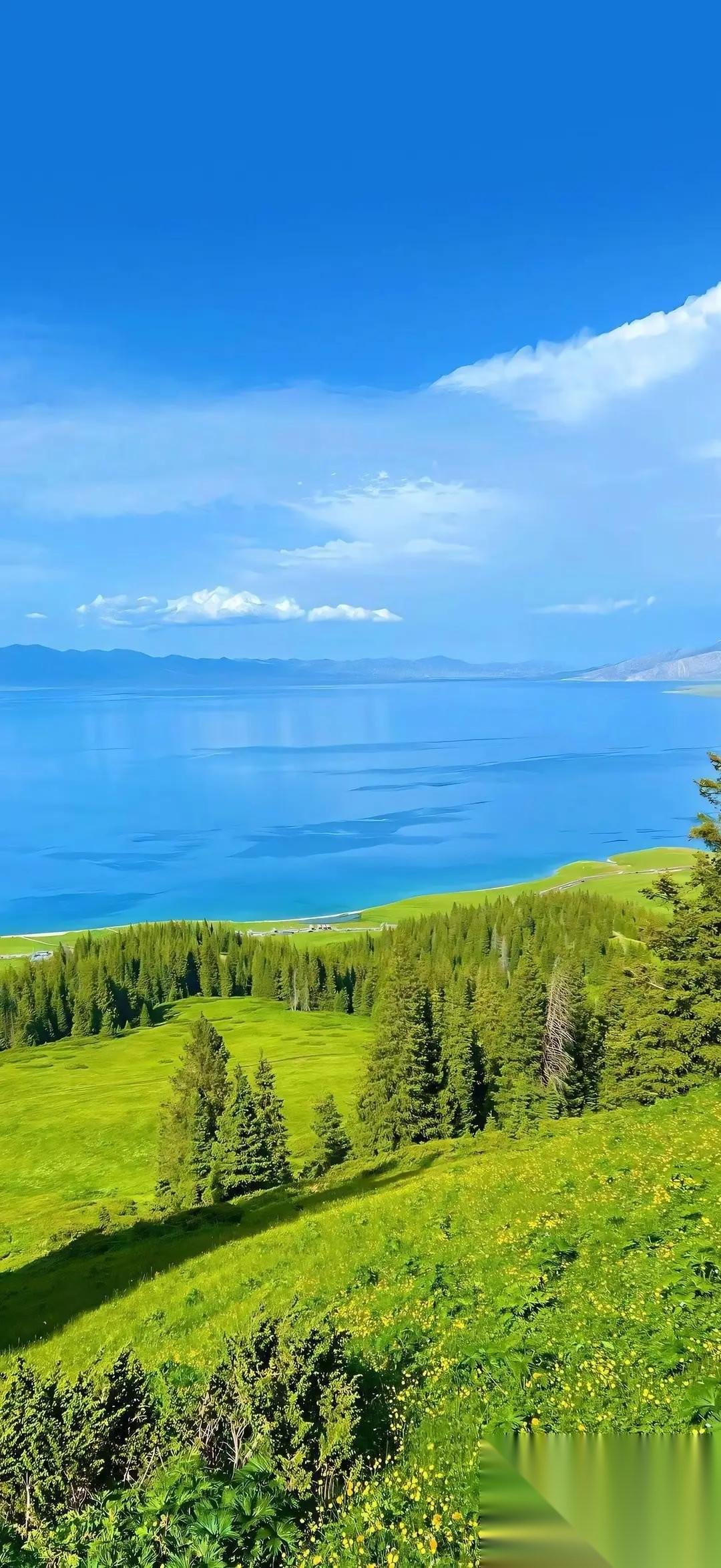 特别扎心的话：“只要你守过病重的父母一夜，不用多，就连续7天。你会明白，所谓孝顺